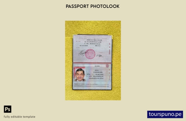 Plantilla de aspecto fotográfico para pasaporte estándar de Rusia lista para imp